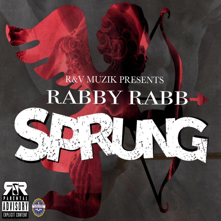 Rabby Rabb's avatar image