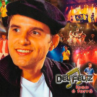 Nas Asas da Asa Branca By Del Feliz, Flávio José's cover