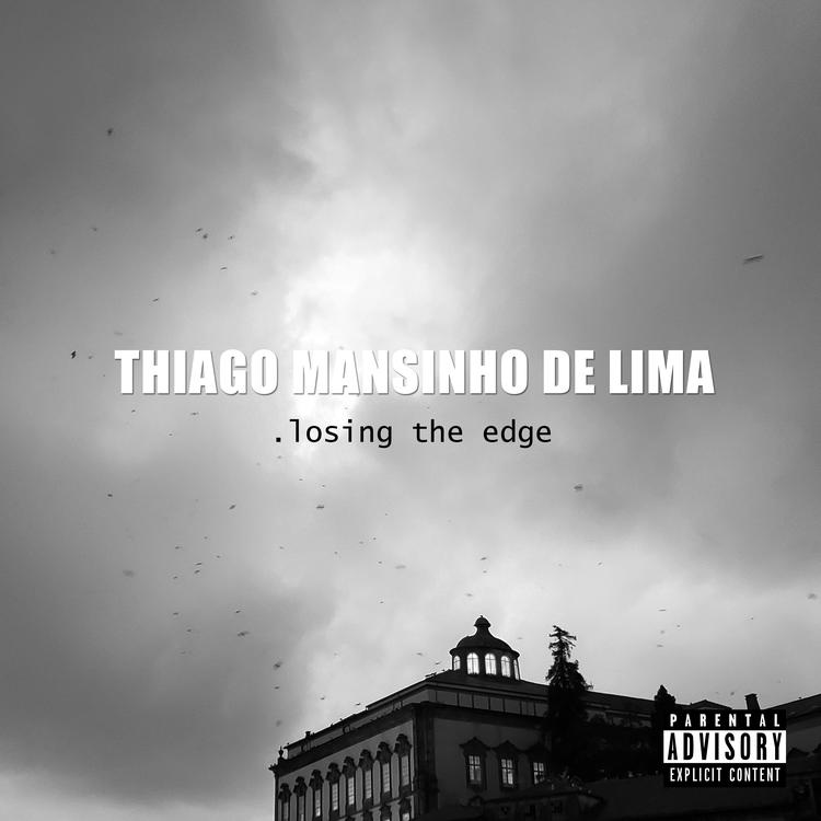 Thiago Mansinho de Lima's avatar image