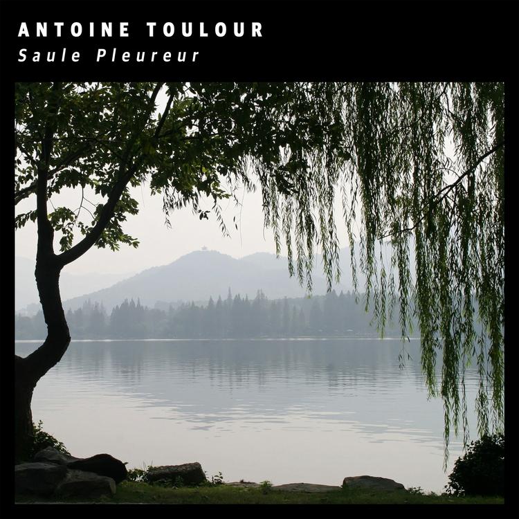 Antoine Toulour's avatar image