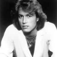 Andy Gibb's avatar cover