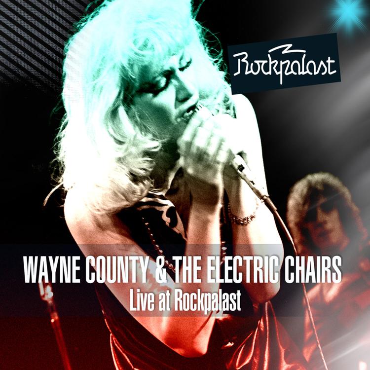 Wayne County & The Electric Chairs's avatar image