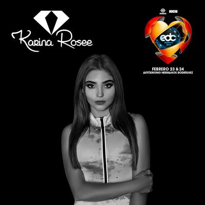 Karina Rosee's cover