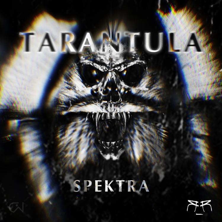 Spektra's avatar image