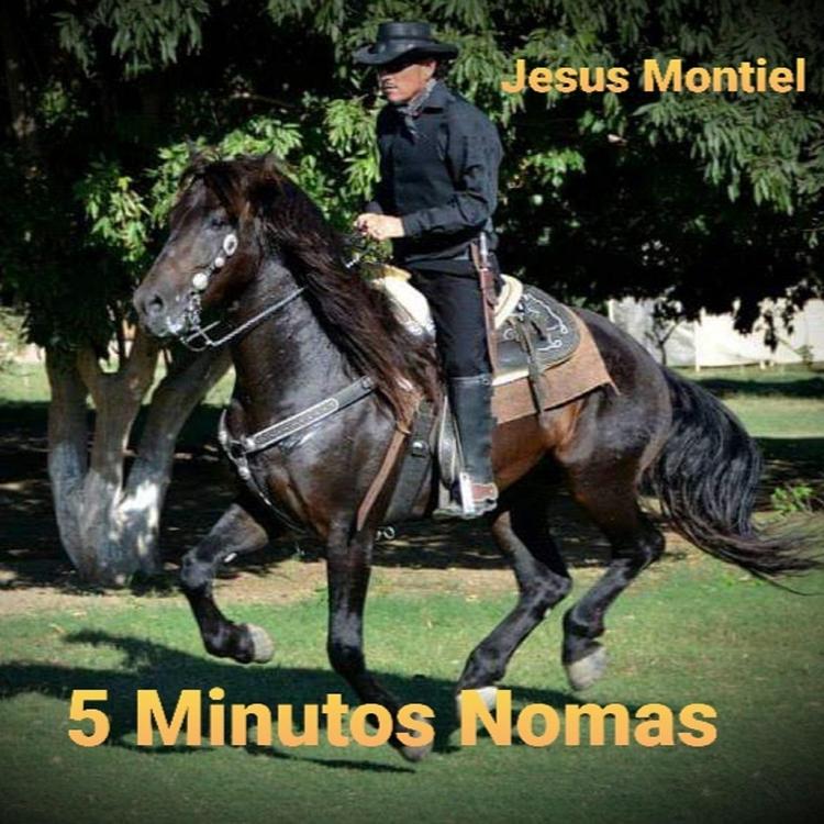 Jesus Montiel's avatar image