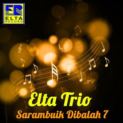 Elta Trio's cover