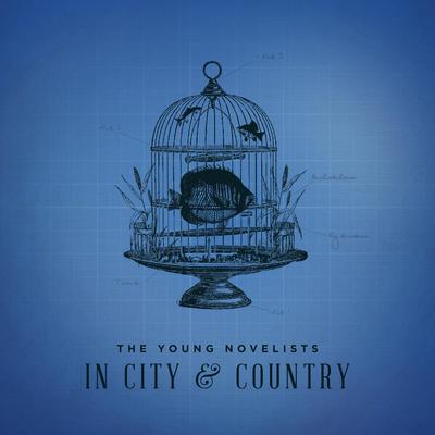 The Young Novelists's cover