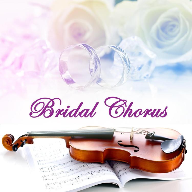 Bridal Chorus Strings's avatar image