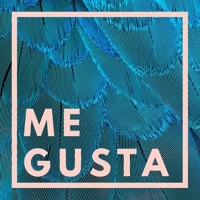 Me Gusta's cover