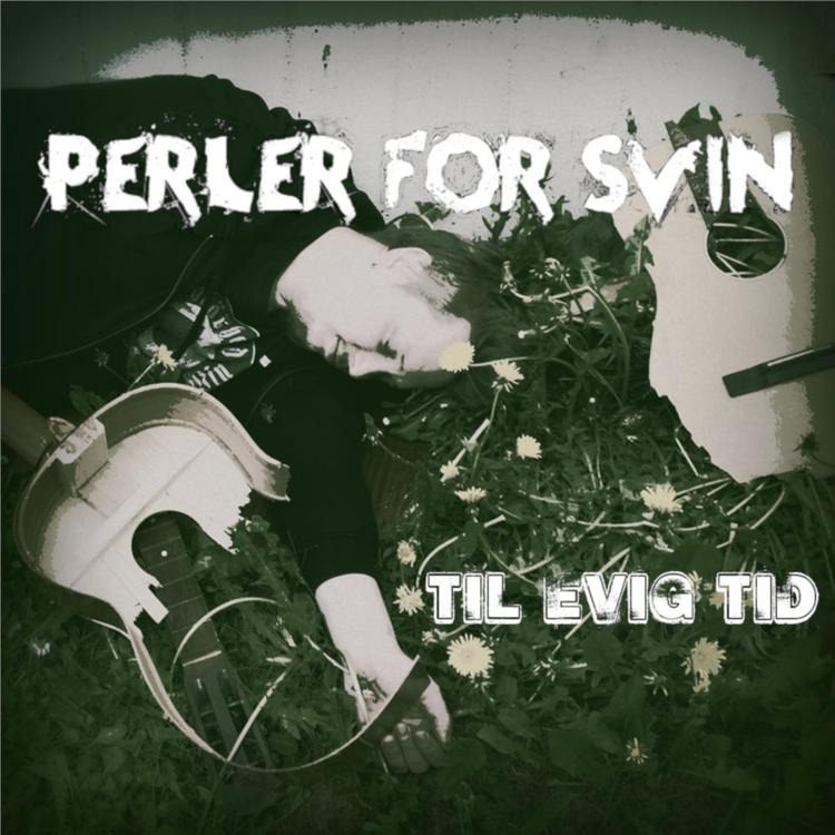 Perler for Svin's avatar image