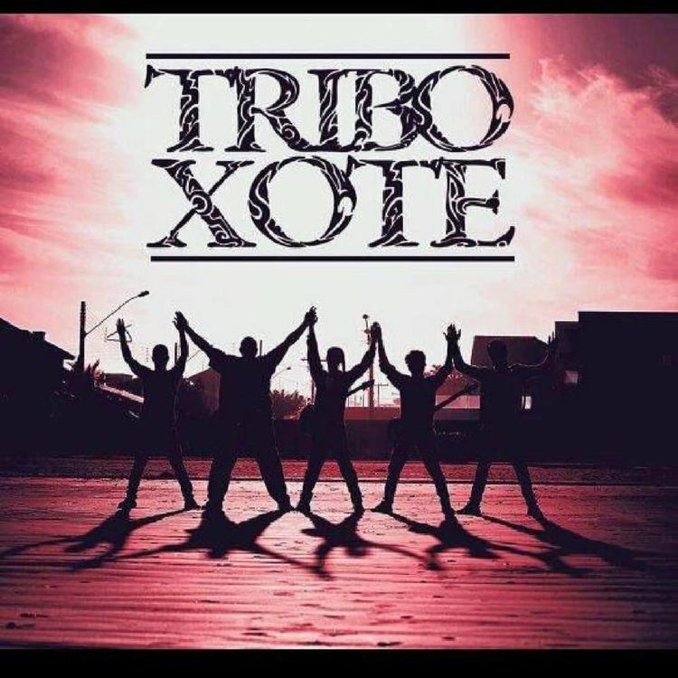 Tribo Xote's avatar image