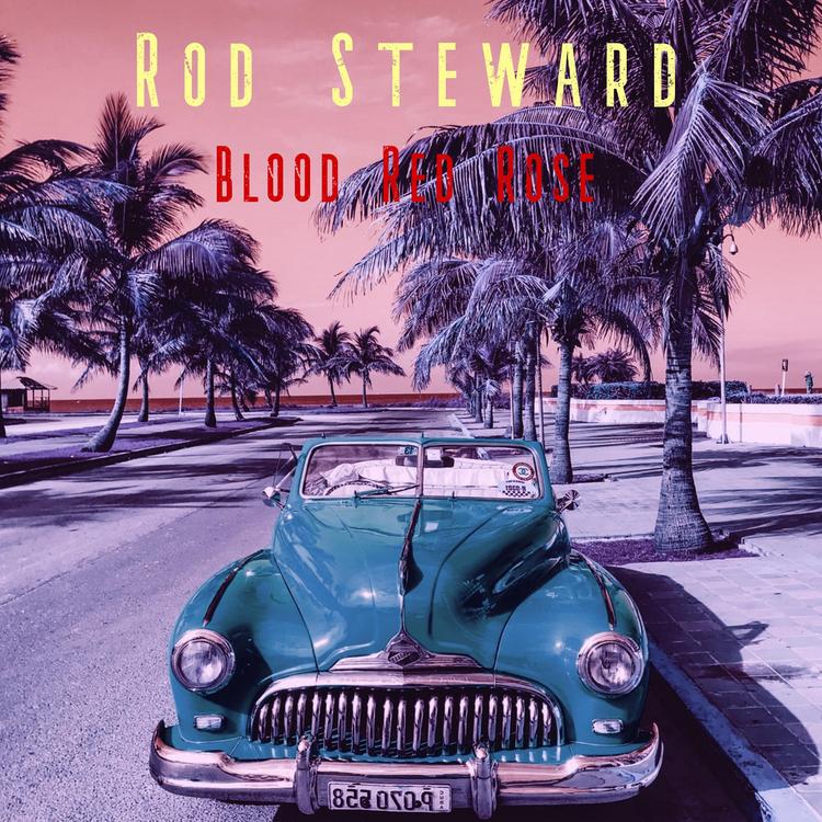 Rod Steward's avatar image