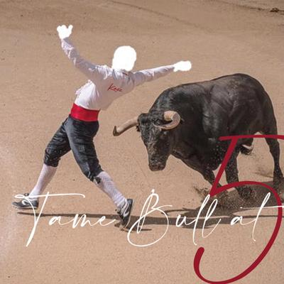 Tame Bull At 5's cover