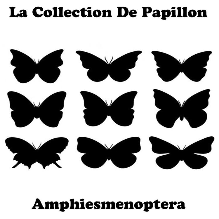 La Collection de Papillon's avatar image