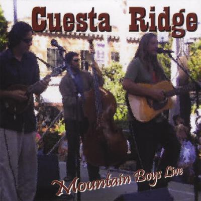 Mountain Boys Live's cover