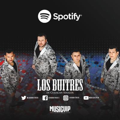 Los Buitres De Culiacán's cover