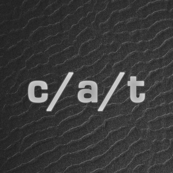 C/A/T's avatar image