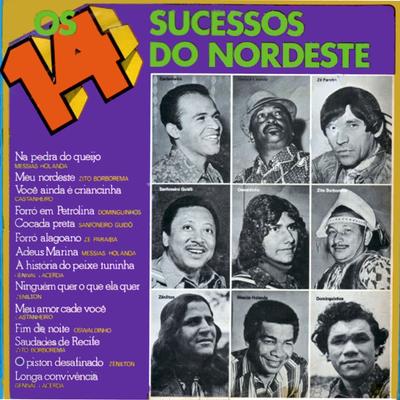 Os 14 Sucessos do Nordeste's cover