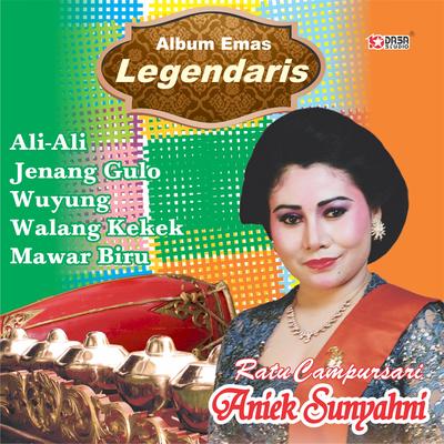 Emas Legendaris Aniek Sunyahni, Vol. 2's cover