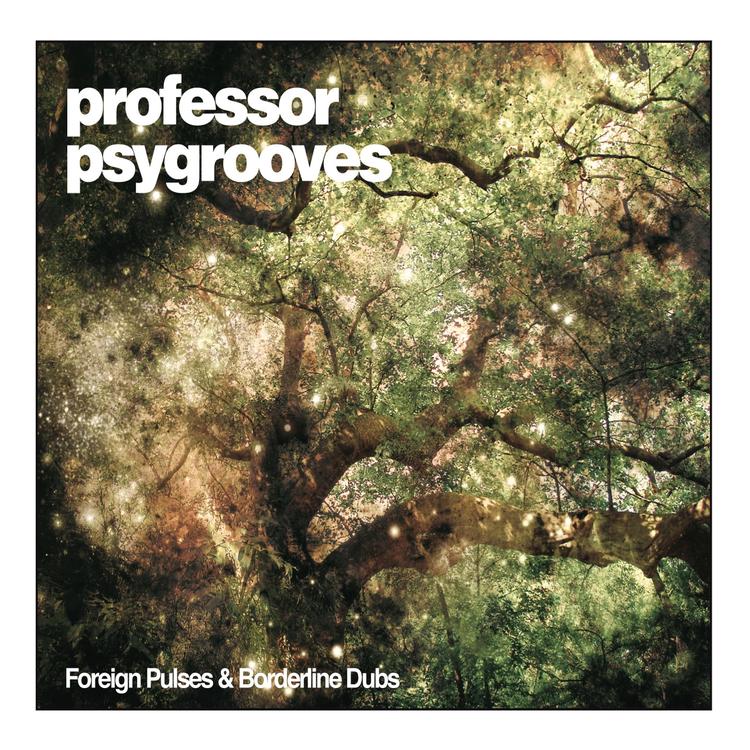 Professor Psygrooves's avatar image