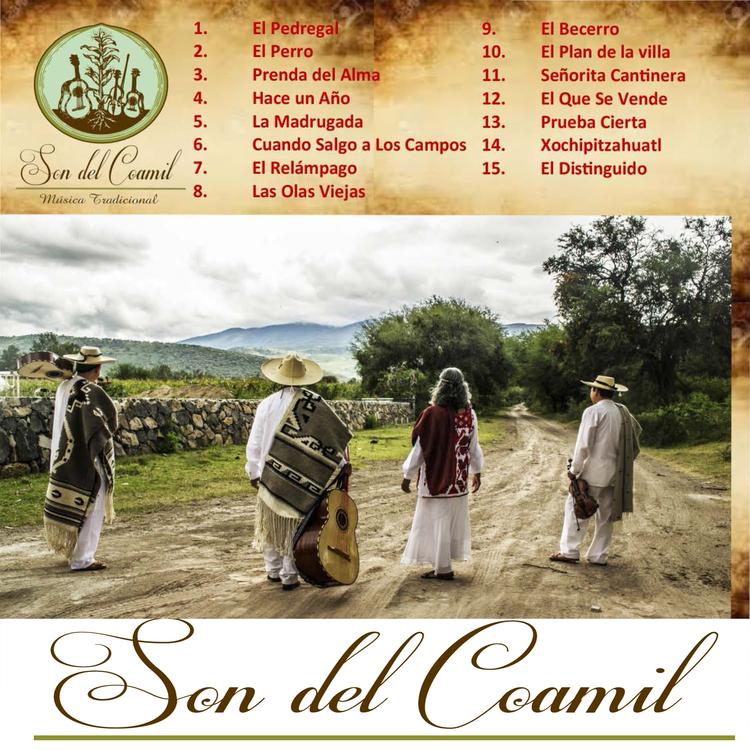 Son del Coamil's avatar image