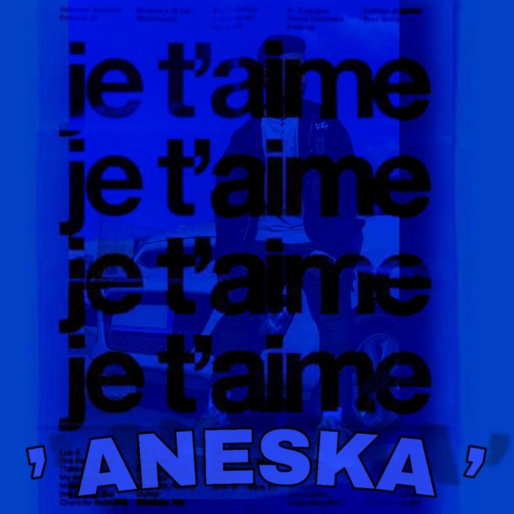 Aneska's avatar image