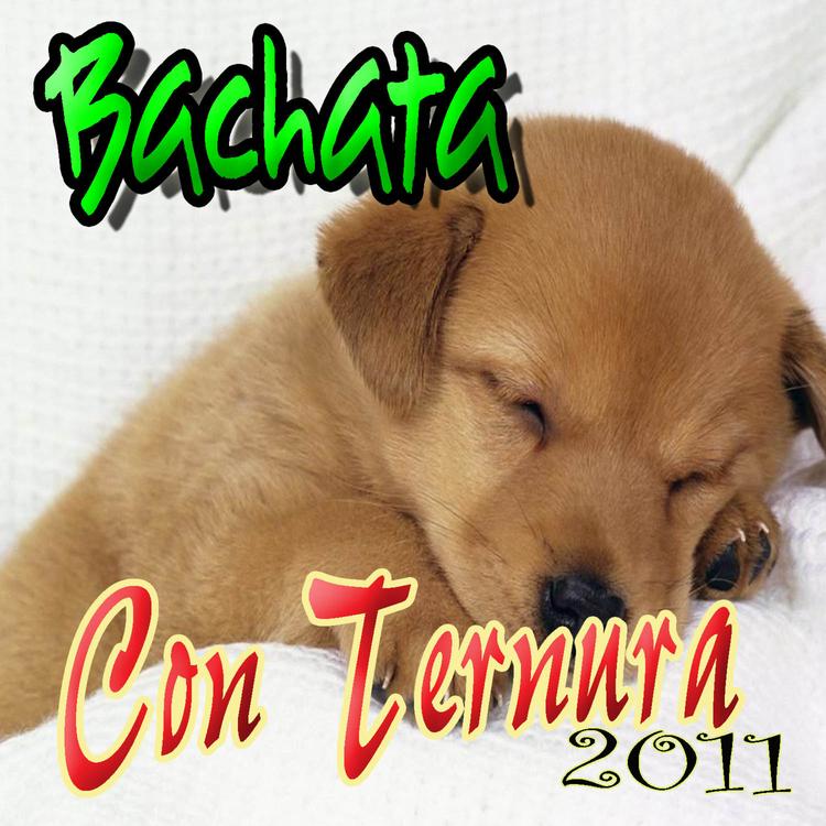 BACHATA Con TERNURA's avatar image