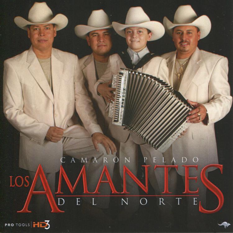 Los Amanted del Norte's avatar image