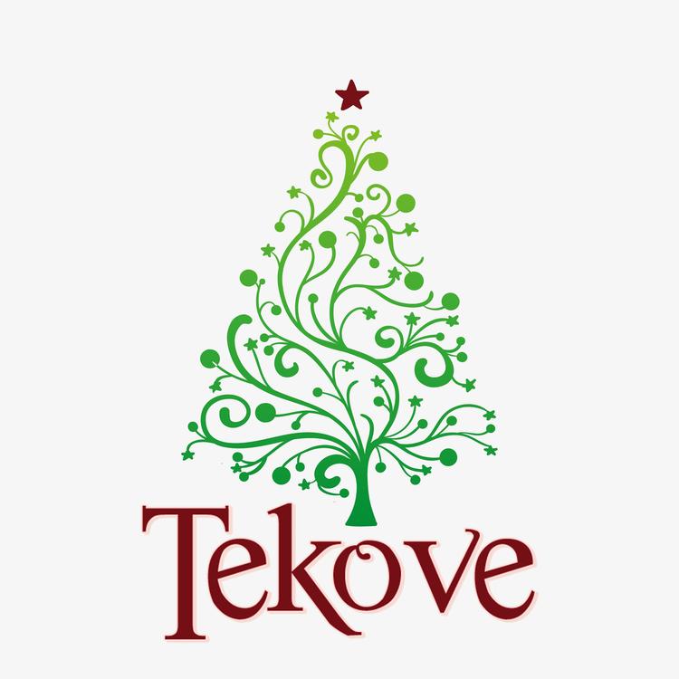 Tekove's avatar image