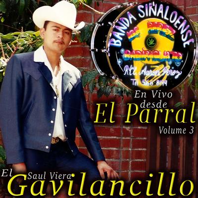El Gavilancillo Saul Viera's cover