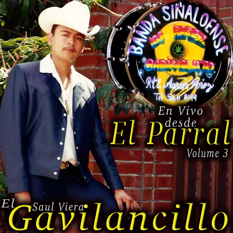El Gavilancillo Saul Viera's avatar image