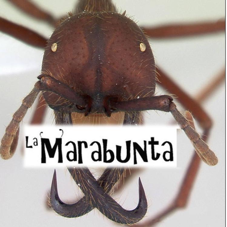 La Marabunta's avatar image