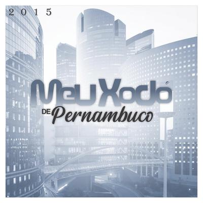 Eu Só Queria Te Amar By Banda Meu Xodó De Pernambuco's cover