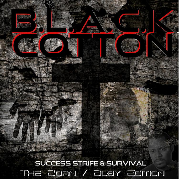 Black Cotton's avatar image