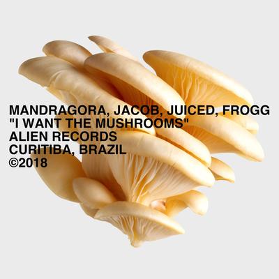I Want The Mushrooms (Original Mix) By Jacob, Juiced, Frogg, Mandragora's cover