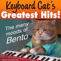 Keyboard Cat's avatar cover