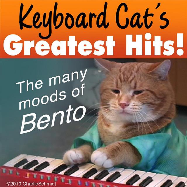 Keyboard Cat's avatar image
