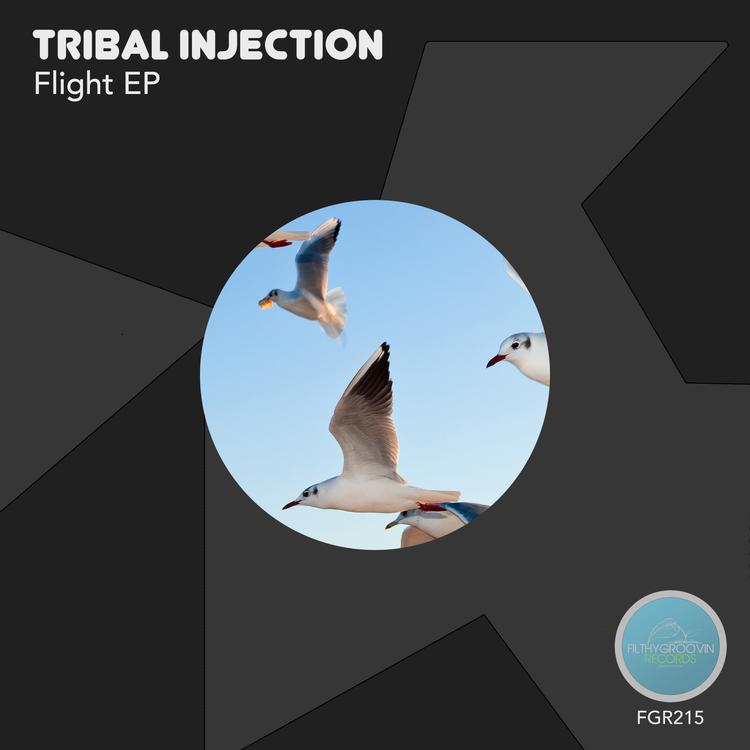 Tribal Injection's avatar image