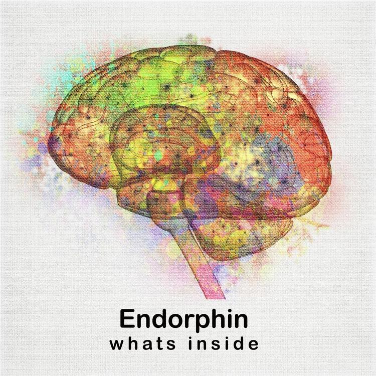 Endorphin's avatar image