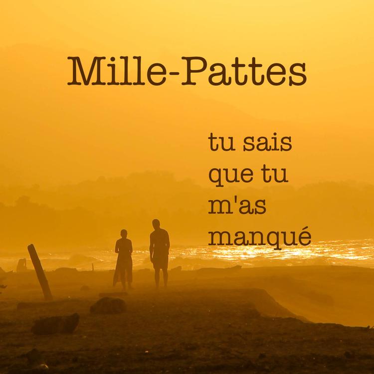 Mille-Pattes's avatar image