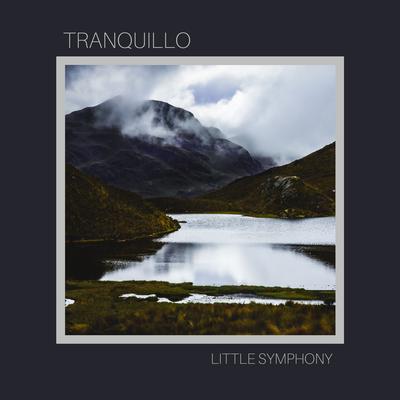 Tranquillo Rain By Little Symphony's cover