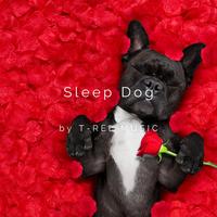 Sleep Dog's avatar cover