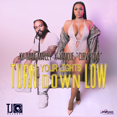 Turn Your Lights Down Low - Single's cover