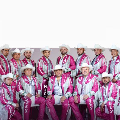 Banda Maguey's cover