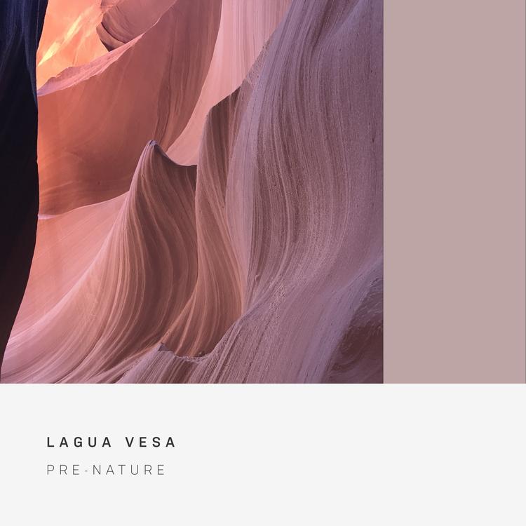 Lagua Vesa's avatar image