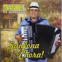 Manoel Do Acordeon's avatar cover