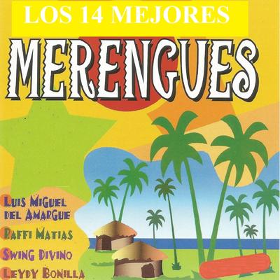 Los 14 Mejores Merengues's cover