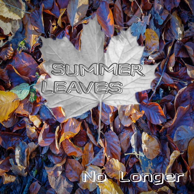 Summer Leaves's avatar image