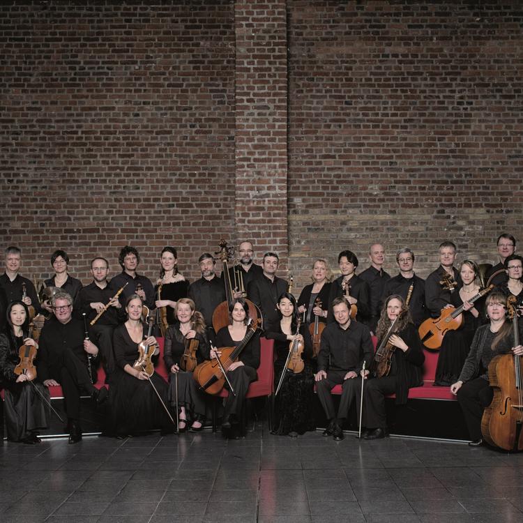 Concerto Köln's avatar image