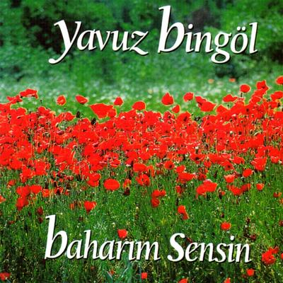 Yarım Söz (Enstrümantal)'s cover